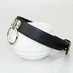 Kinky Cloth Collar & Chain Leash BDSM