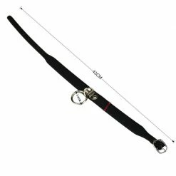 Kinky Cloth Collar & Chain Leash BDSM