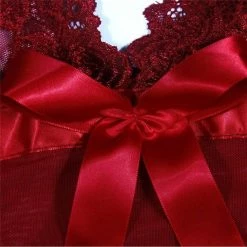 Kinky Cloth Dark Red Transparent Lingerie Nightwear Set