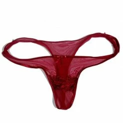 Kinky Cloth Dark Red Transparent Lingerie Nightwear Set