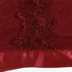 Kinky Cloth Dark Red Transparent Lingerie Nightwear Set