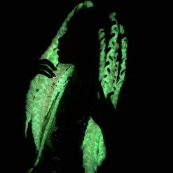 Kinky Cloth Glow In The Dark Braided Weave