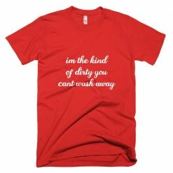 Kinky Cloth BDSM I'm The Kind Of Dirty You Can't Wash Away T-Shirt