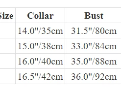 Kinky Cloth Latex Top With High Cut Zippered Briefs