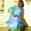 Kinky Cloth Pet Play LED Dog Stuffie