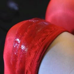 Kinky Cloth Oil Glossy Lace Detail Stockings Pet Play