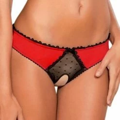 Kinky Cloth Open Crotch Mesh Panties