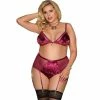 Kinky Cloth Lingerie & Panties Velvet Garter Lingerie Set