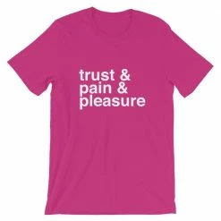 Kinky Cloth Top & Tees Trust, Pain, Pleasure T-shirt