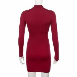 Kinky Cloth Turtleneck Skinny Mini Dress