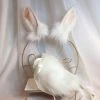Kinky Cloth White Rabbit Ear Headwear & Tail Cosplay